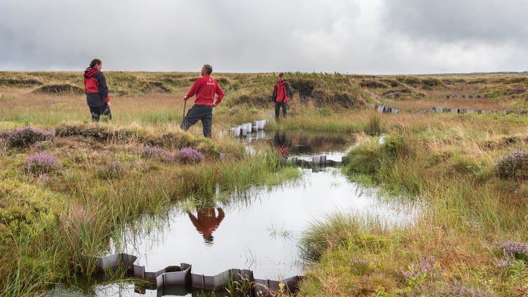 A team work to install metal dams in a grassy moorland
